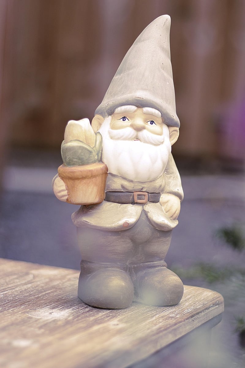 Joyful Gnome in a Garden